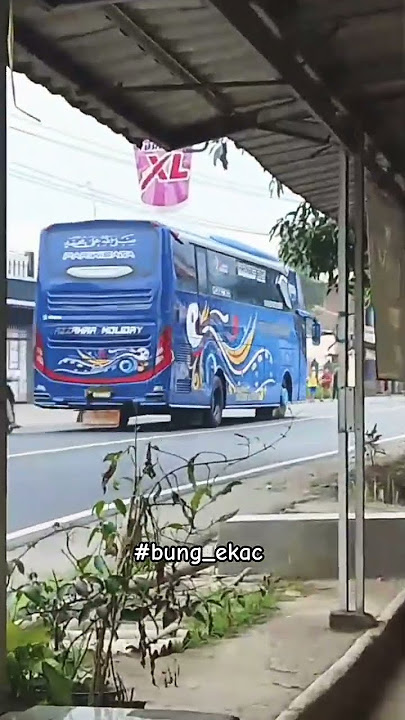 preman pensiun #basuri #bus #davmusicalairhorn #busmania #buspariwisata #shortvideo
