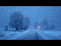 Heavy Blizzard Sounds for Sleep 1 Hour Pure Winter Ambience • No Music