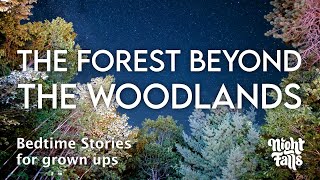 The Forest Beyond The Woodland - Soothing Bedtime Story to Help You Sleep