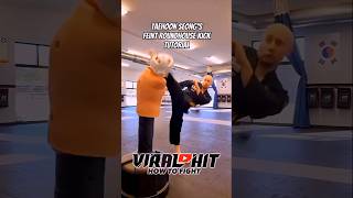 Deadly roundhouse kick #martialarts #kungfu #boxing #karate #shortsfeed #foryou #shorts #viral