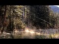 Fliegenfischen am Wiesenbach und See in Österreich | Bachforelle | Döbel | Regenbogenforelle