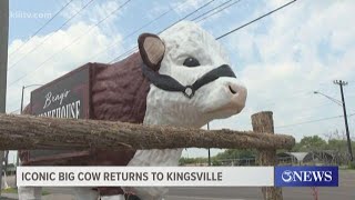 Iconic cow returns home to Kingsville, Texas