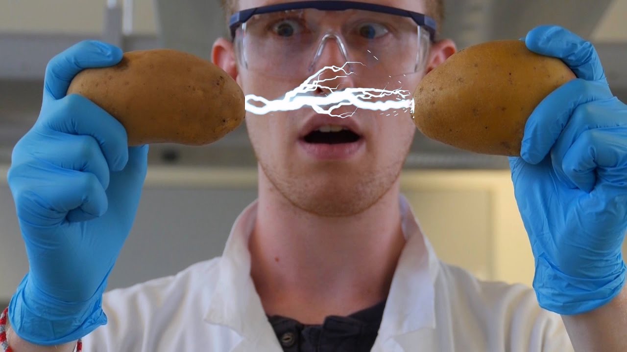 Entdeckung der Pfälzer Grumbeere