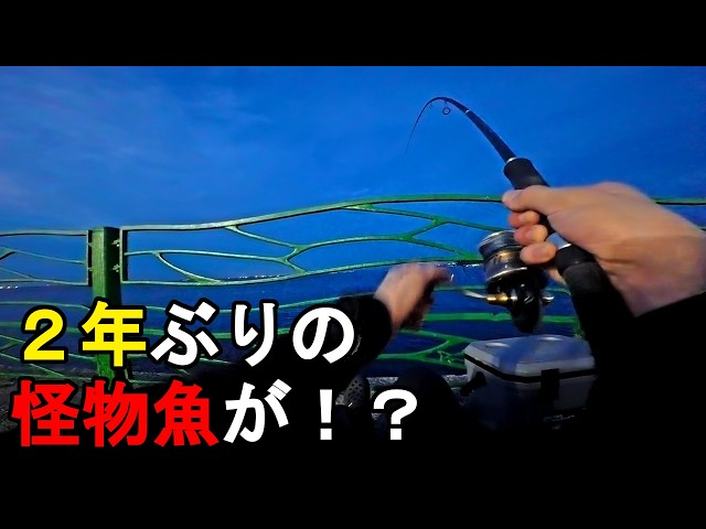 【神奈川県某所】今季は絶好調！？夏の東京湾で2年ぶりの怪物魚が！夏の終わりの時期に、関東地方の三浦半島の東京湾側に面している釣り場で、とある人気ターゲット狙いで釣りしてみたら…！【2026年9月上旬】