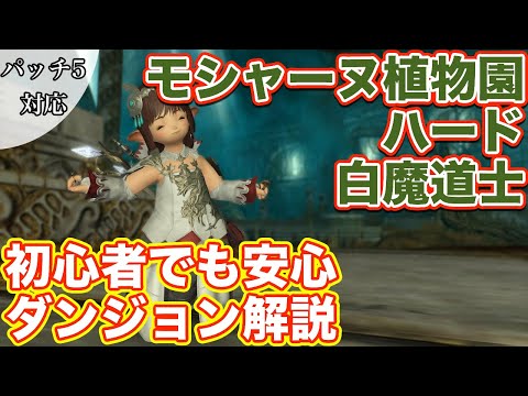 Munimuni Mipha Blog Entry むにむに レベル70ダンジョン動画のまとめ Youtube Final Fantasy Xiv The Lodestone