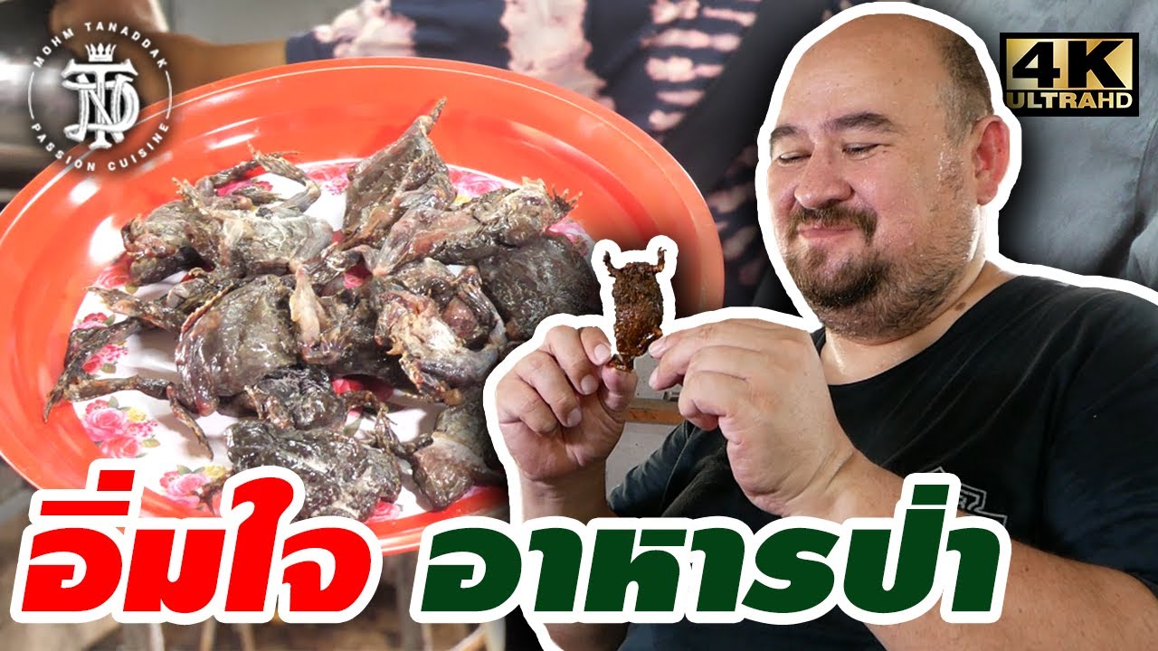 อิ่มใจ อาหารป่า