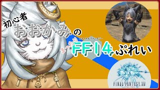 【VTuber 】初心者おおかみのまったりFF14ぷれいっ【FF14 /ファイナルファンタジーXIV 】