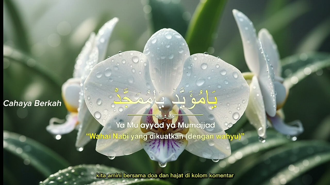 SHOLAWAT PENENANG HATI SUARA PEREMPUAN PALING LEMBUT 