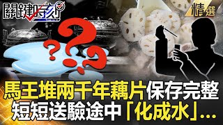 精選特輯│馬王堆2000年鮮藕片神秘黑科技保存完整 短短送驗途中「化成水」…【關鍵時刻】-劉寶傑 馬西屏 劉燦榮 黃創夏 王瑞德