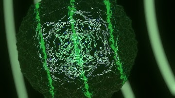 JakoJako - Viridis (Official Video)