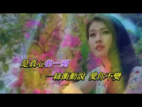 輕撫你的臉 〈女調卡拉伴奏版〉