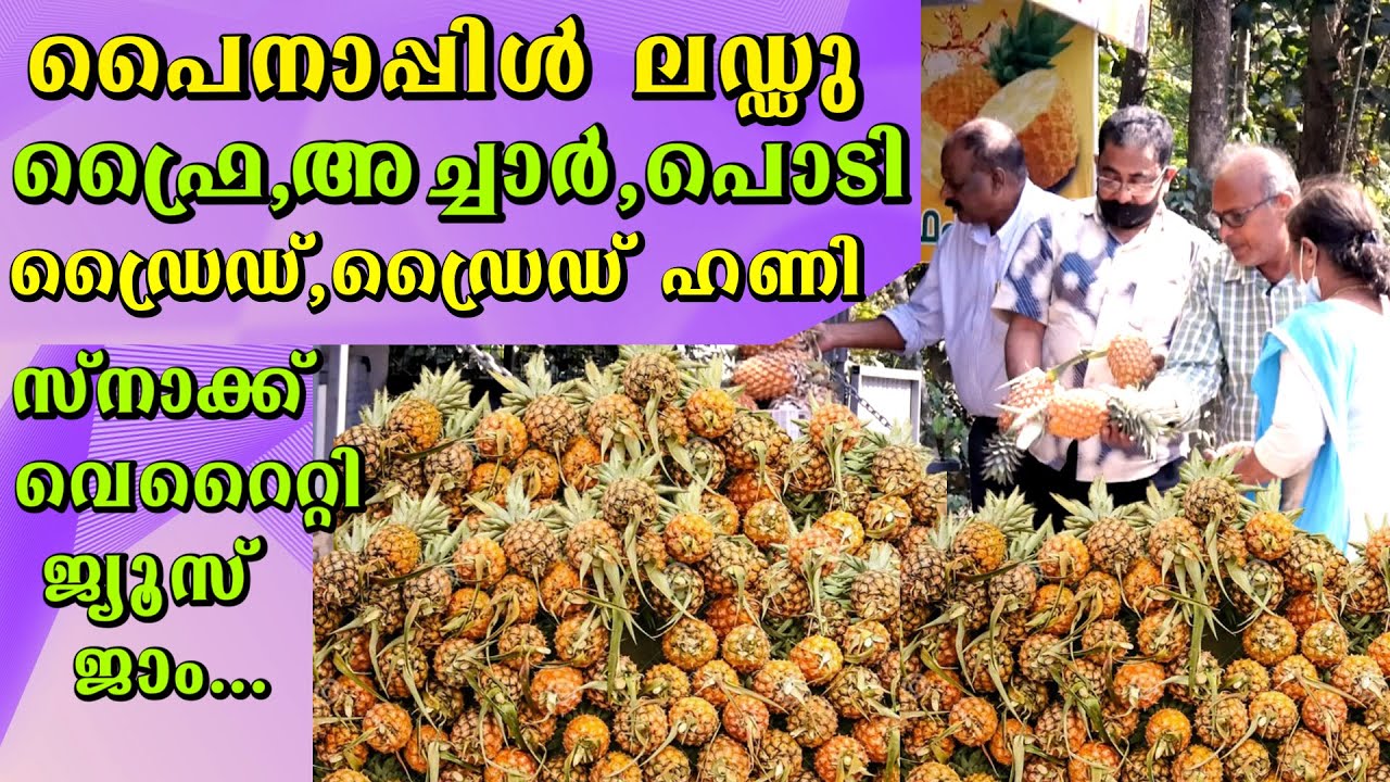 പൈനാപ്പിൾ കൊണ്ട് ലാഭം കൊയ്യുന്ന കർഷകൻ | Pineapple byproducts  #pineapple