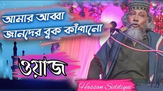 perjyada Hassan Siddiqui Waz.. পীরজাদা হাসান সিদ্দিকী ।। book kapano waz..