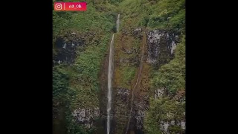 قرآن كريم بصوت محمد الغزالي 🎧💌 أجمل حالات واتس اب دينية مقاطع دينية قصيرة مقاطع انستقرام دينية