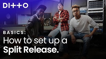 How To Set Up A Royalty Split | Ditto Music
