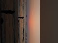 ❤️Prem❤️is the Word That Not Described#love #song #sunset #sunrise#sunsetview #travel#vlog#illusion