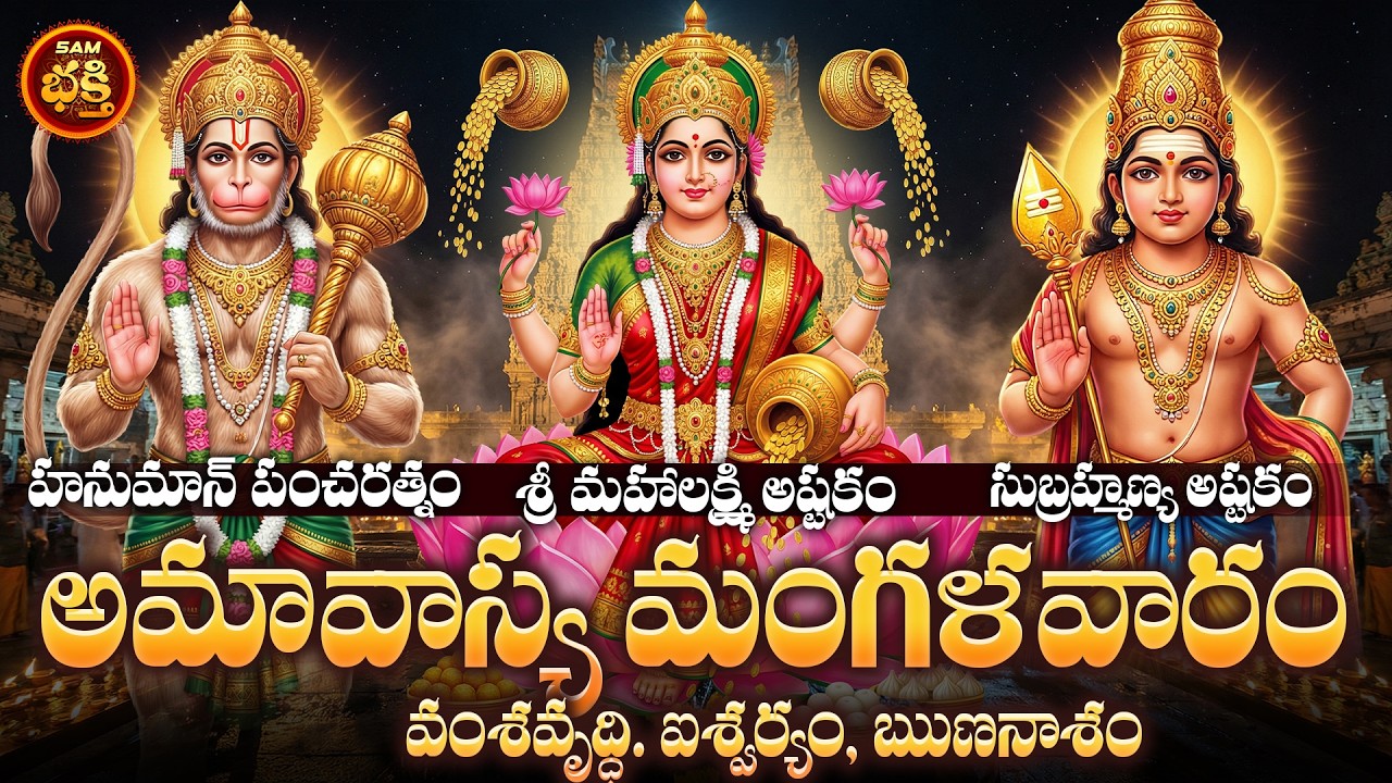 సంతానం, వివాహం, కార్యజయం,శత్రుజయం ఐశ్వర్యం,అదృష్టంకోసం అమావాస్య మంగళవారం మహాద్భుతమైన పరిహారం