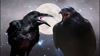 What Does it Mean When a Crow Caws At You? by Higher Self 36,530 views 2 years ago 8 minutes, 47 seconds