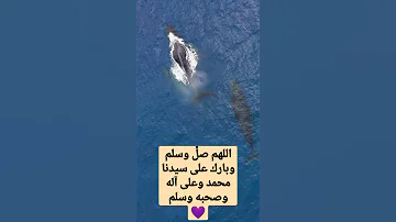قل للحبيب بان قلبي ذاب ـ الشيخ جابر البغدادي 