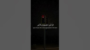وَنُرِيدُ أَن نَّمُنَّ عَلَى الَّذِينَ اسْتُضْعِفُوا  | محمد صديق المنشاوي | سورة القصص #قرآن