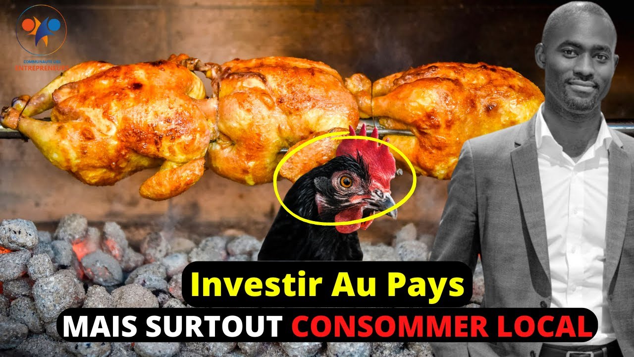 Investir Au Pays 2 élevage de poulet goliath et local en Afrique