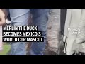 Merlín the duck becomes Mexico's World Cup mascot