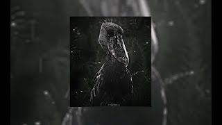 Funk Oscuro - (𝗦𝗨𝗣𝗘𝗥 𝗦𝗟𝗢𝗪𝗘𝗗) - H6Itam