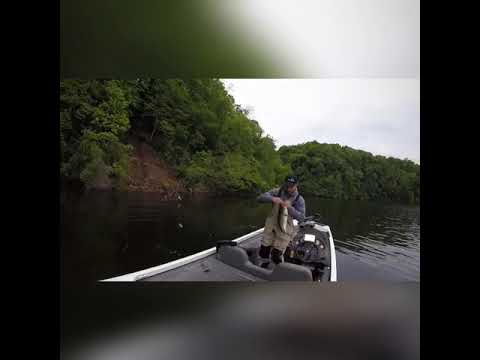 Normandy bass fishing - YouTube