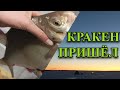 Шикарный клев Лещей !День 2-ой! Выкормил точку! Яузское ВДХР! Часть 2