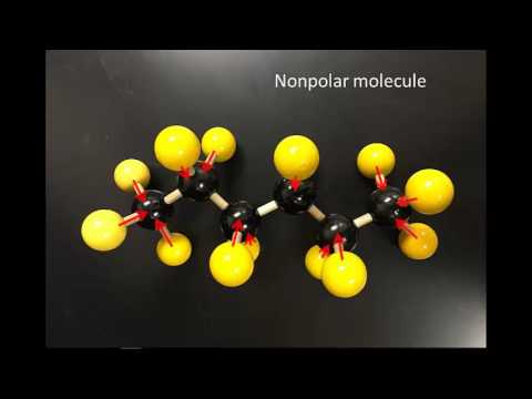 Video: Vil kun opløses i ikke-polære stoffer?
