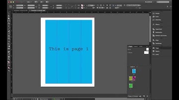 INDESIGN: A page palette introduction to add, delete, duplicate and reorder pages.