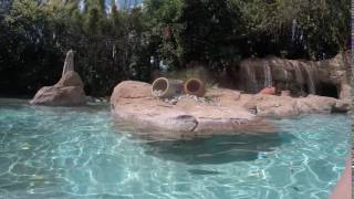 Wind Away River