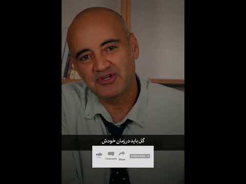 هر کاری باید در زمان خودش انجام بشه