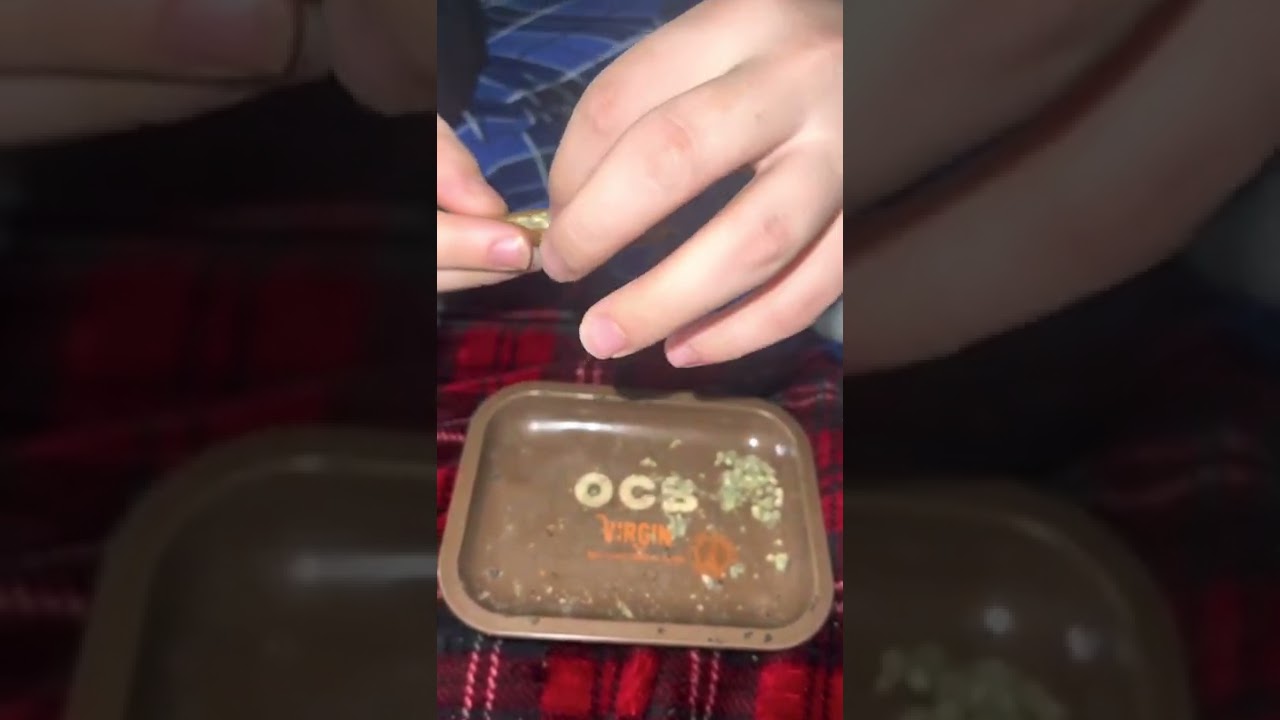 HOW TO: Roll a blunt W/ WizardsOfHerb