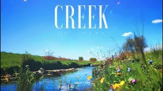 #221 Creek