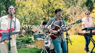 Janes Party - Live Again Alexrainbirdsession