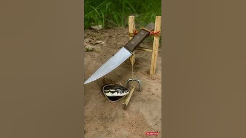 Snake traps | Danger big Snake #snake #trap