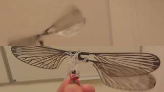 Ornithopter at the University of Groningen