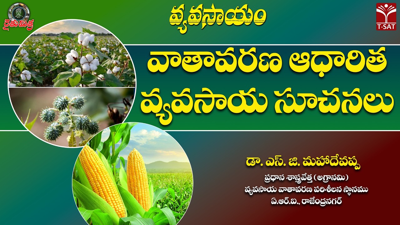 🌾 రైతుమిత్ర – వ్యవసాయం | వాతావరణ ఆధారిత వ్యవసాయం సూచనలు | డా. ఎస్. జి. మహాదేవప్ప | T-SAT