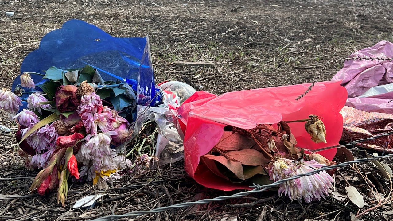 Family search for answers after two sisters killed in crash and only ...