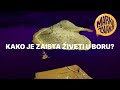 Kako je zaista živeti u Boru?