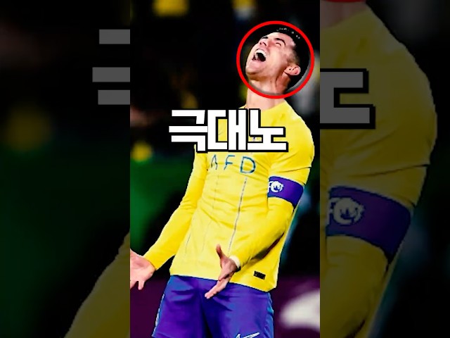 호날두 레전드 큰 그림