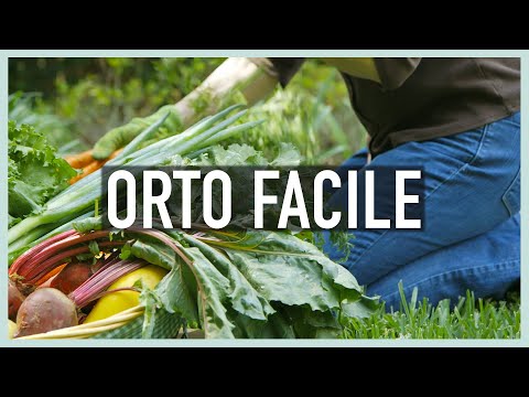 Video: Verdure di stagione invernale - Suggerimenti per coltivare cibo durante la stagione fredda