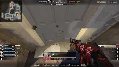 Chicken blocked ropz xD