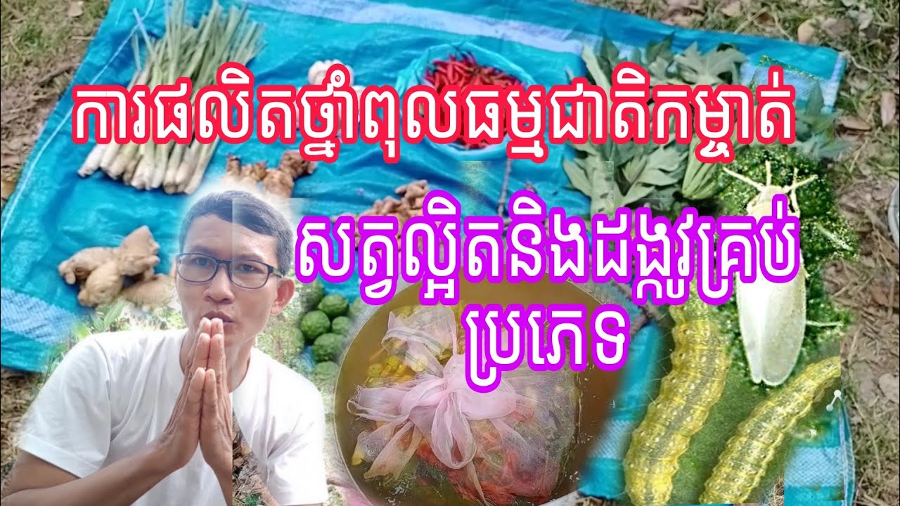 #សំខាន់ណាស់: ការផលិតថ្នាំពុលធម្មជាតិសម្រាប់កំចាត់សត្វល្អិតនិងដង្កូវគ្រប់ប្រភេទ