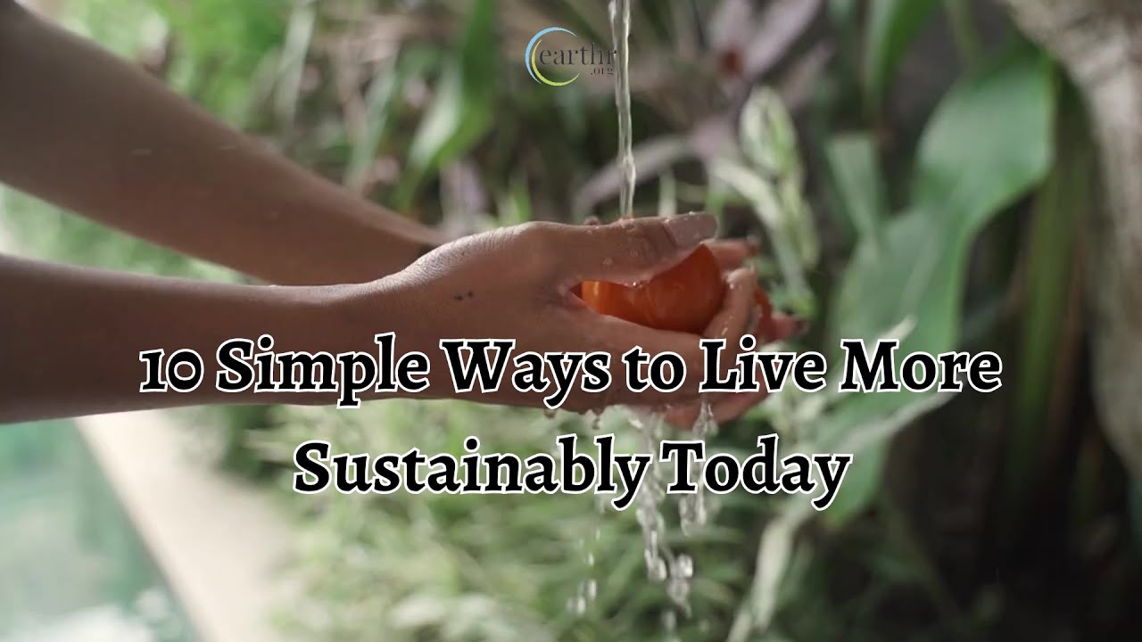 10 Simple Ways to Live More Sustainably Today - YouTube