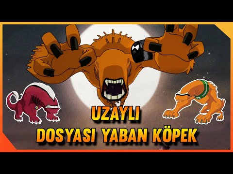 Uzaylı Dosyası: Yaban Köpek