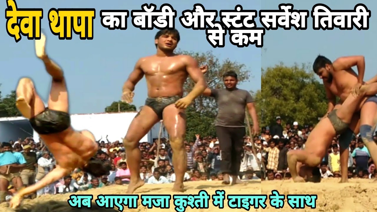 देवा थापा का बॉडी और स्टंट सर्वेश तिवारी से कम हमारे नजरिए सर्वेश तिवारी vs टाइगर की कुश्ती 2020