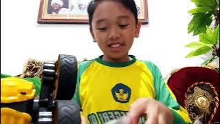 Mainan Mobil Remot Homyped Flex Car