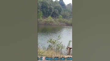 bãi câu cá đẹp nhất bà rịa vũng tàu #trumcauca